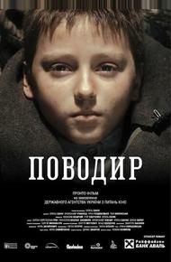 Поводырь (2013)